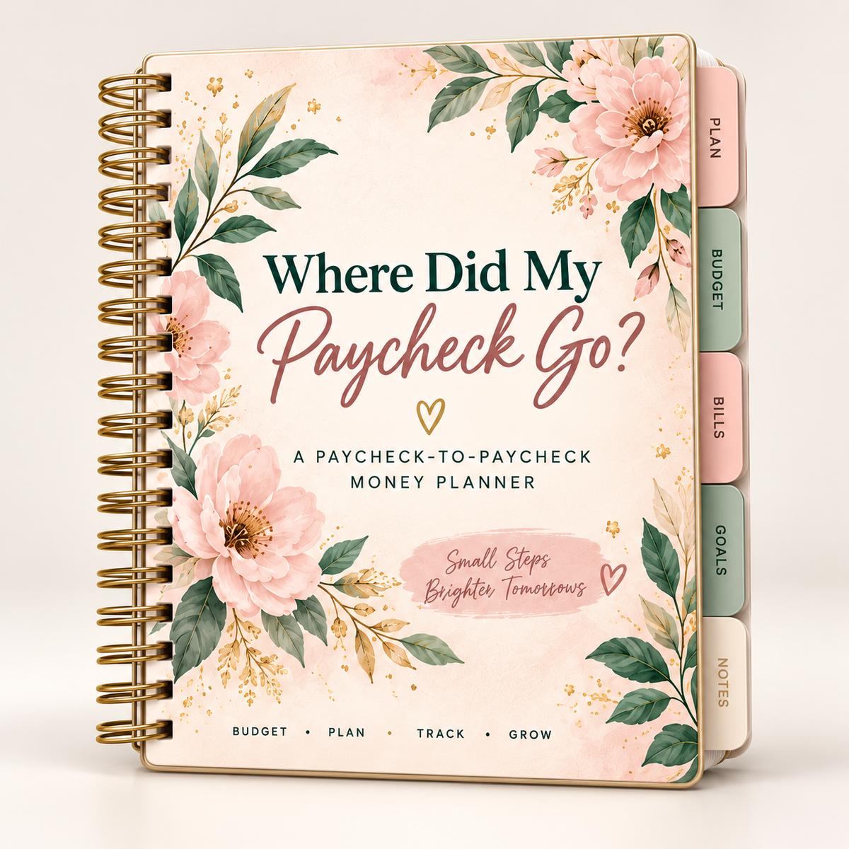 Where Did My Paycheck Go?